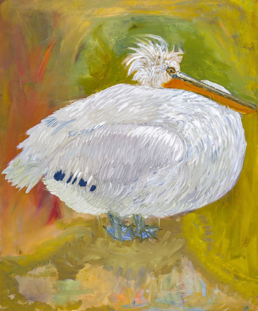 Pelikan