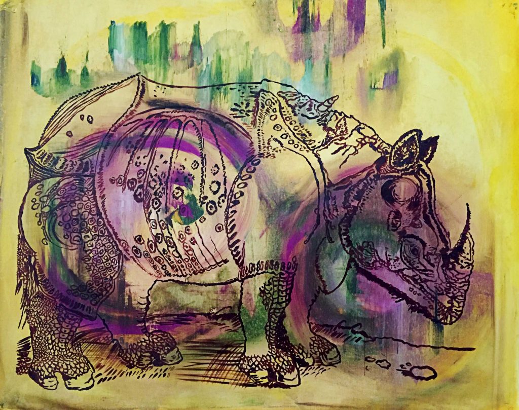 Dürer’s Rhino goes India